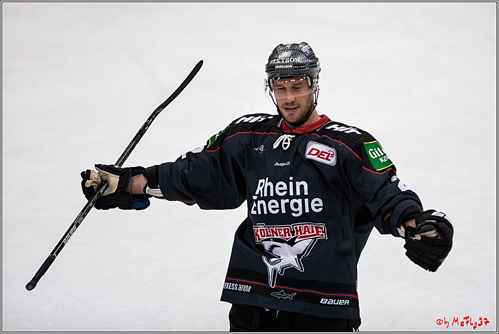 Koelner Haie - Schwenninger Wild Wings, 11.12.2016